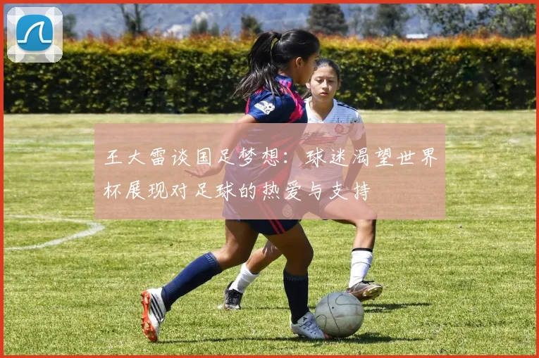 王大雷谈国足梦想：球迷渴望世界杯展现对足球的热爱与支持
