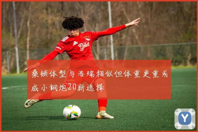 桑顿体型与洛瑞相似但体重更重或成小钢炮20新选择
